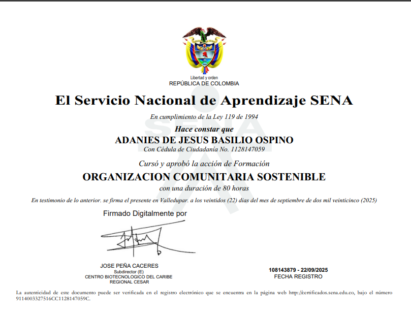 Certificado Técnico Programación